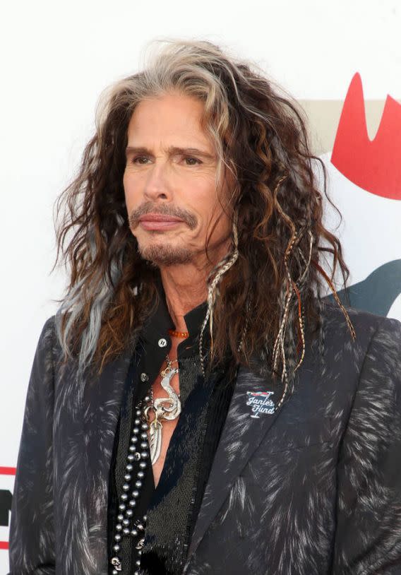 Steven Tyler: Out on a Limb documentary trailer