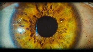 An image of an eye from the "Project A" Steam page.