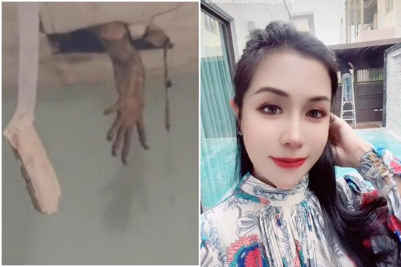 shock! A “ghost hand” appeared on the ceiling of the dwelling, terrifying Zhengmei.  The real truth is related to “Godzilla”