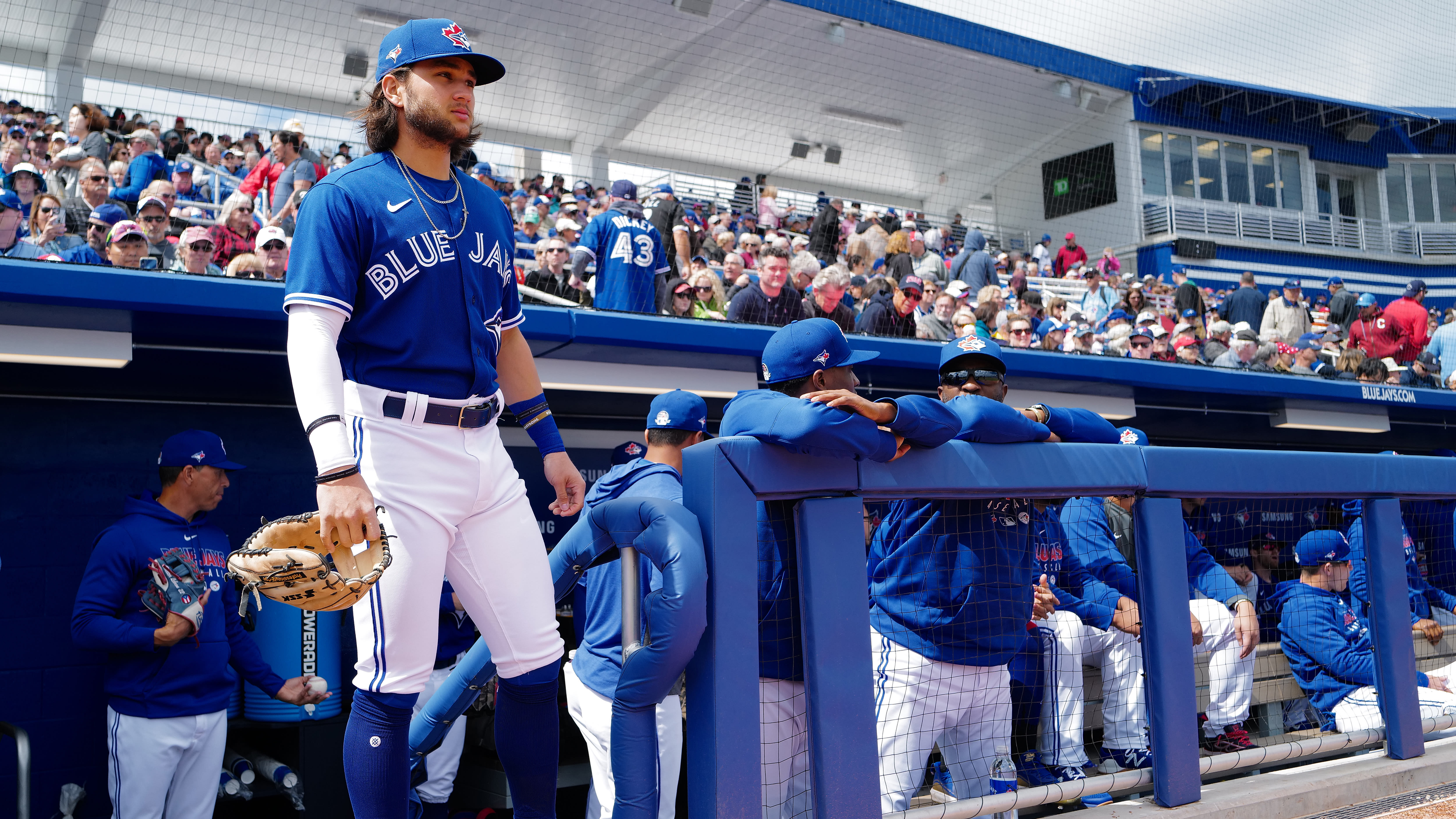 toronto blue jays