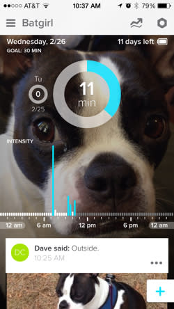 Whistle is like Fitbit for your dog