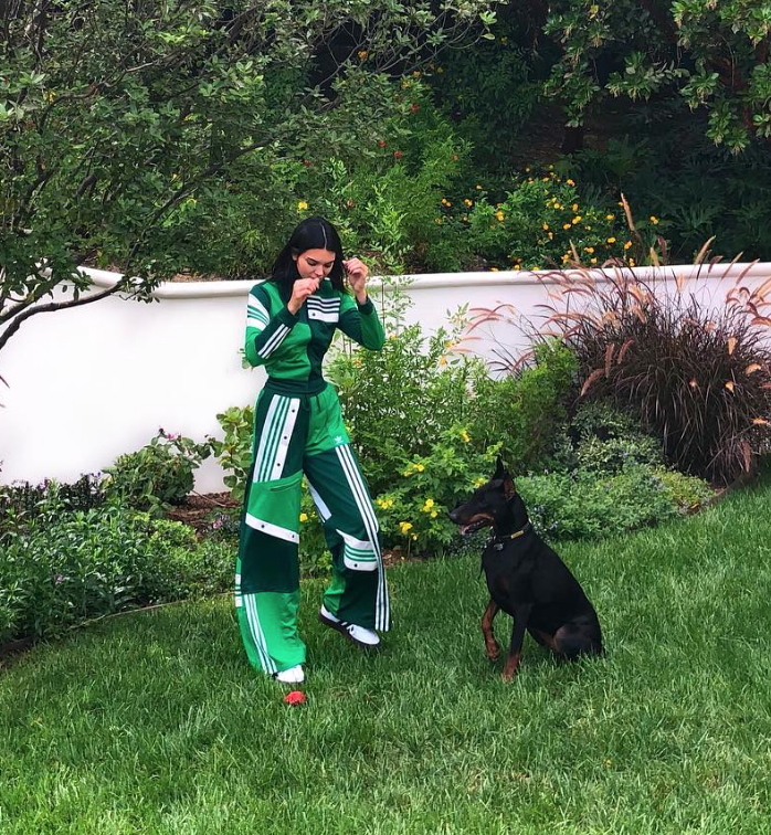 jogging adidas kendall jenner