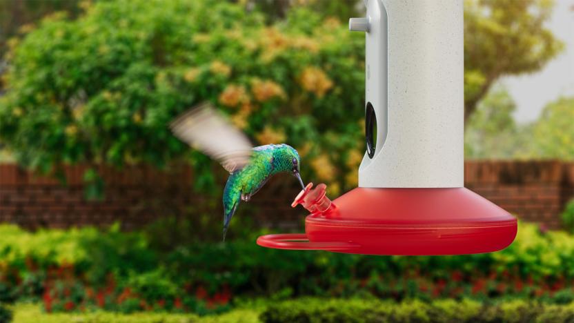 Bird Buddy smart hummingbird feeder