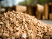 15 Countries that Produce the Most Biomass Energy in the World