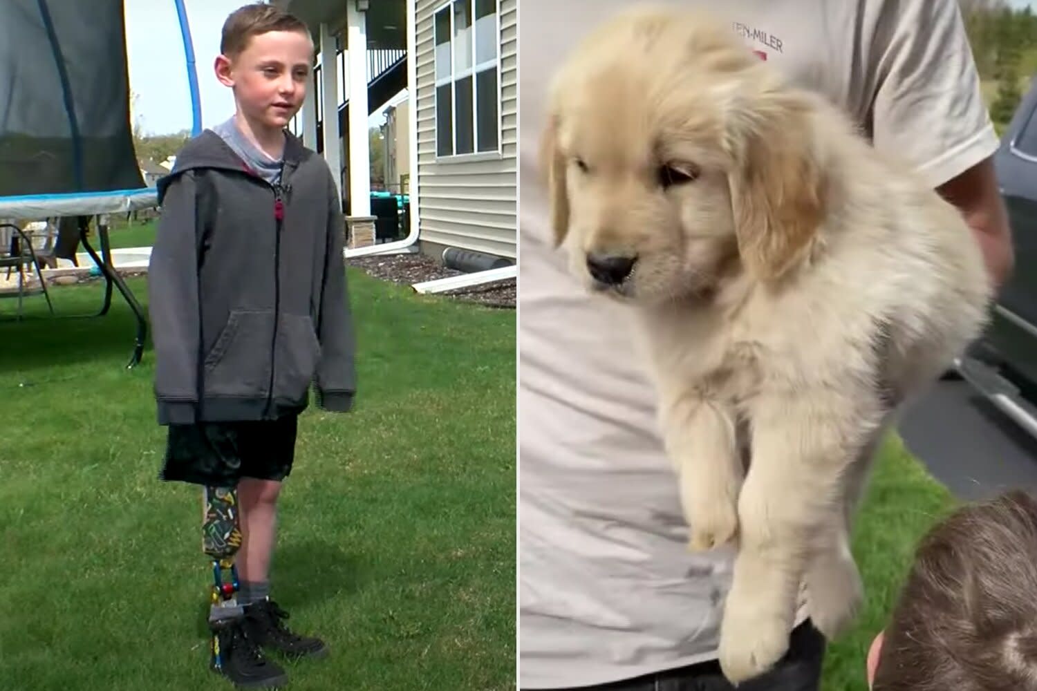 Minnesota Boy With Prosthetic Leg Finds Best Friend In Golden Retriever Puppy Born Without Paw