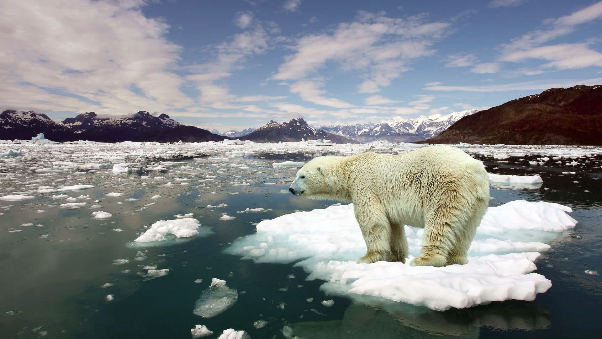 Risultati immagini per climate change