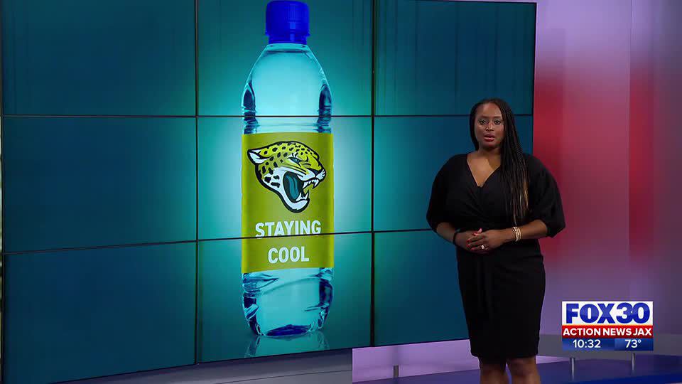 Tickets for possible playoff game go on sale for Jaguars season ticket  holders – Action News Jax