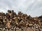 Rayonier Earns PEFC Sustainability Certification for Log Yard