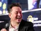 Elon Musk has turned Tesla into a meme stock as he tells Wall Street to value the EV maker like an AI company, top economist says