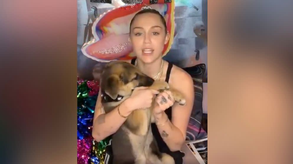 Miley Cyrus And Selena Gomez Both Adopt Rescue Puppies