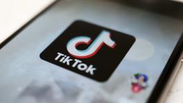 If TikTok were to go away, Meta would win: MikMak CEO