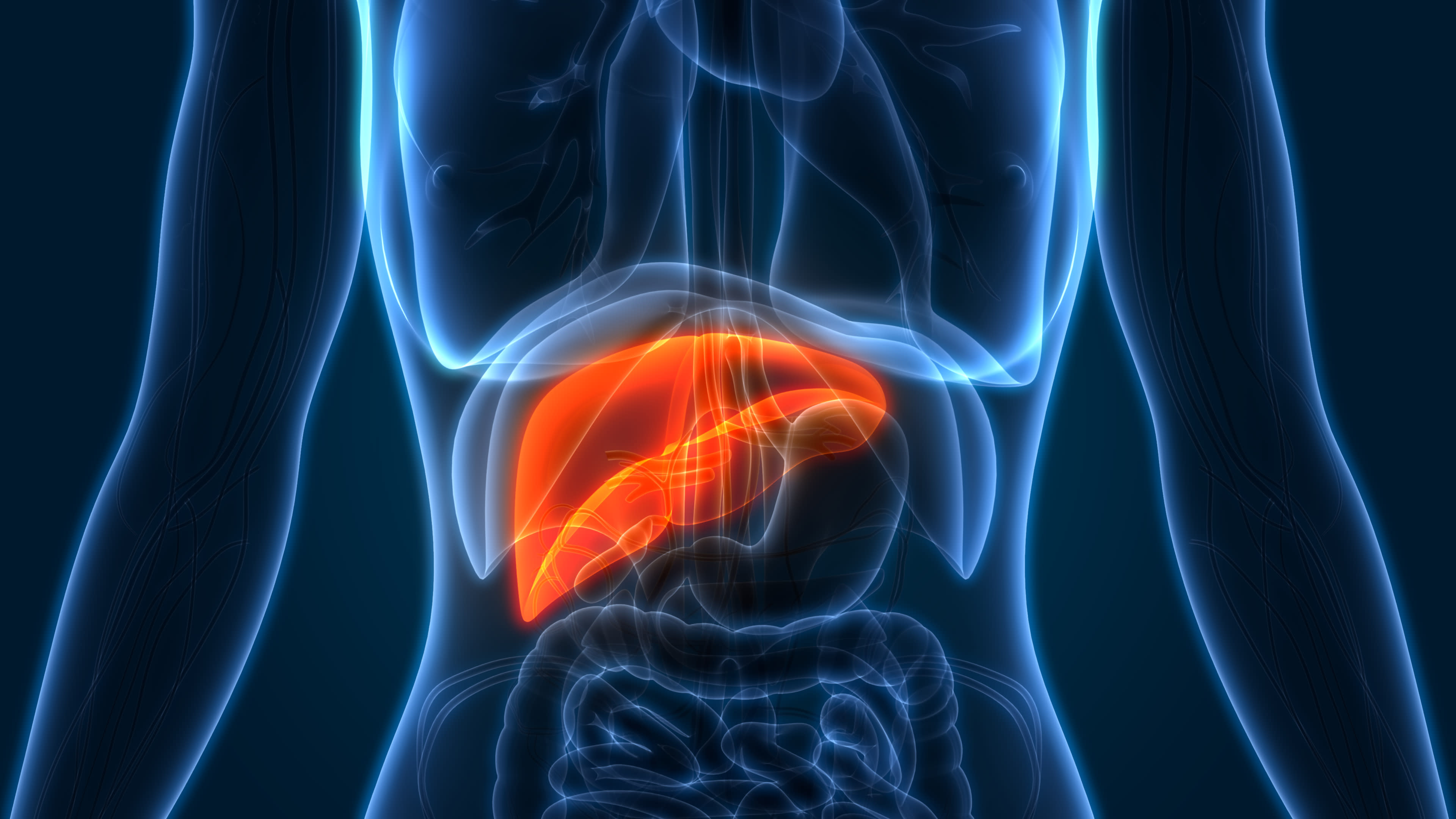 How Does Liver Cancer Affect Liver Function