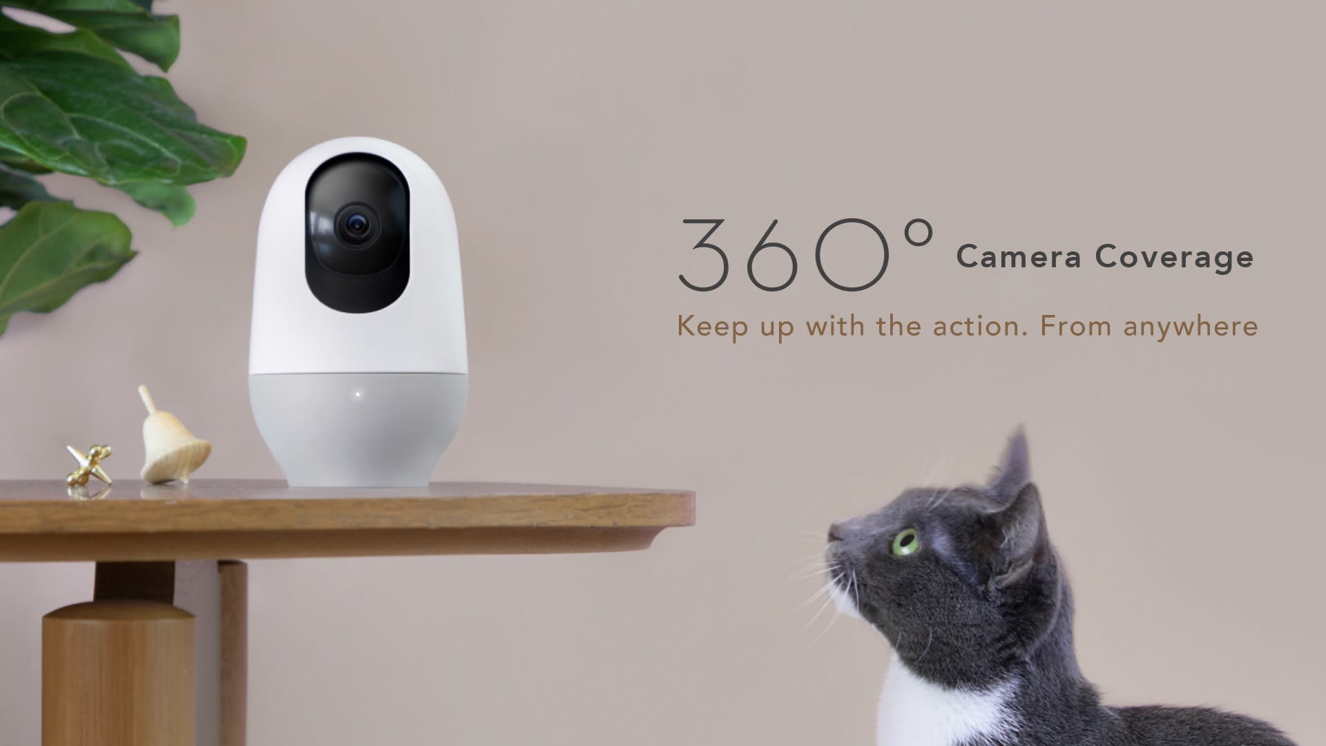 nooie cam 360 amazon