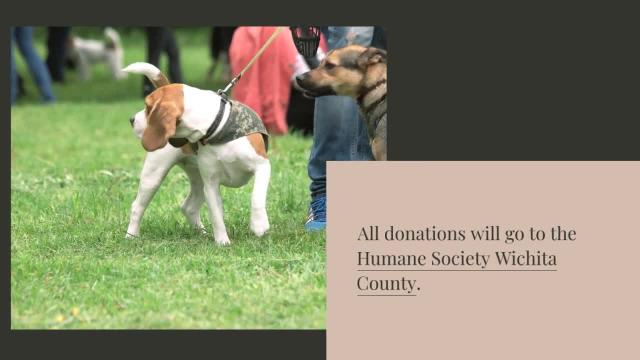 Bark at the Park - Humane Society of St. Lucie County