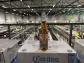 AB InBev building 0.0% tech in UK, sees opportunity in “adult refreshment”