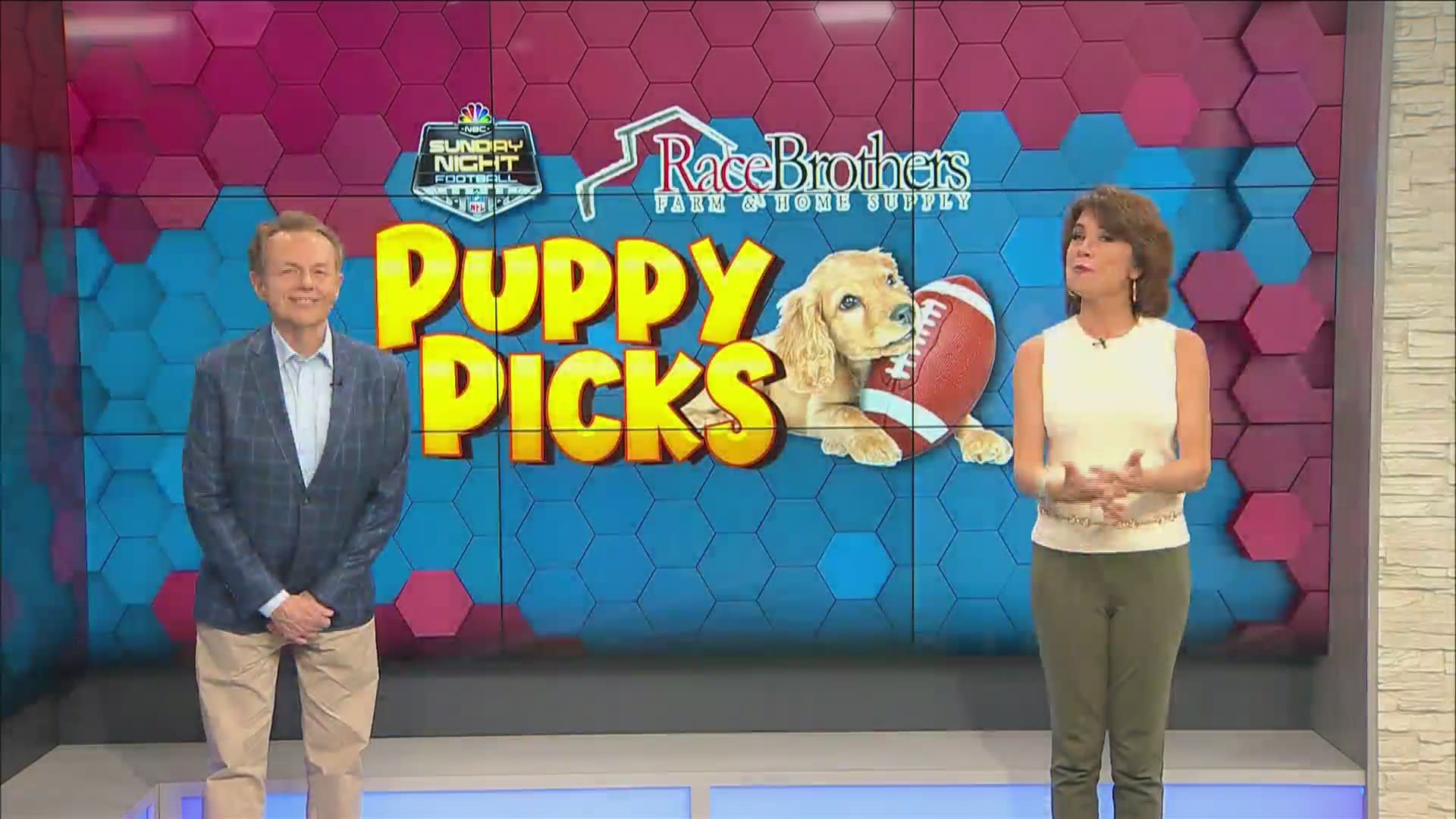 Puppy Picks: Steelers vs. Raiders