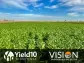Yield10 Bioscience Grants Global License to VISION Bioenergy Oilseeds for Herbicide Tolerant Camelina Cultivated for the Production of Biofuel Feedstock