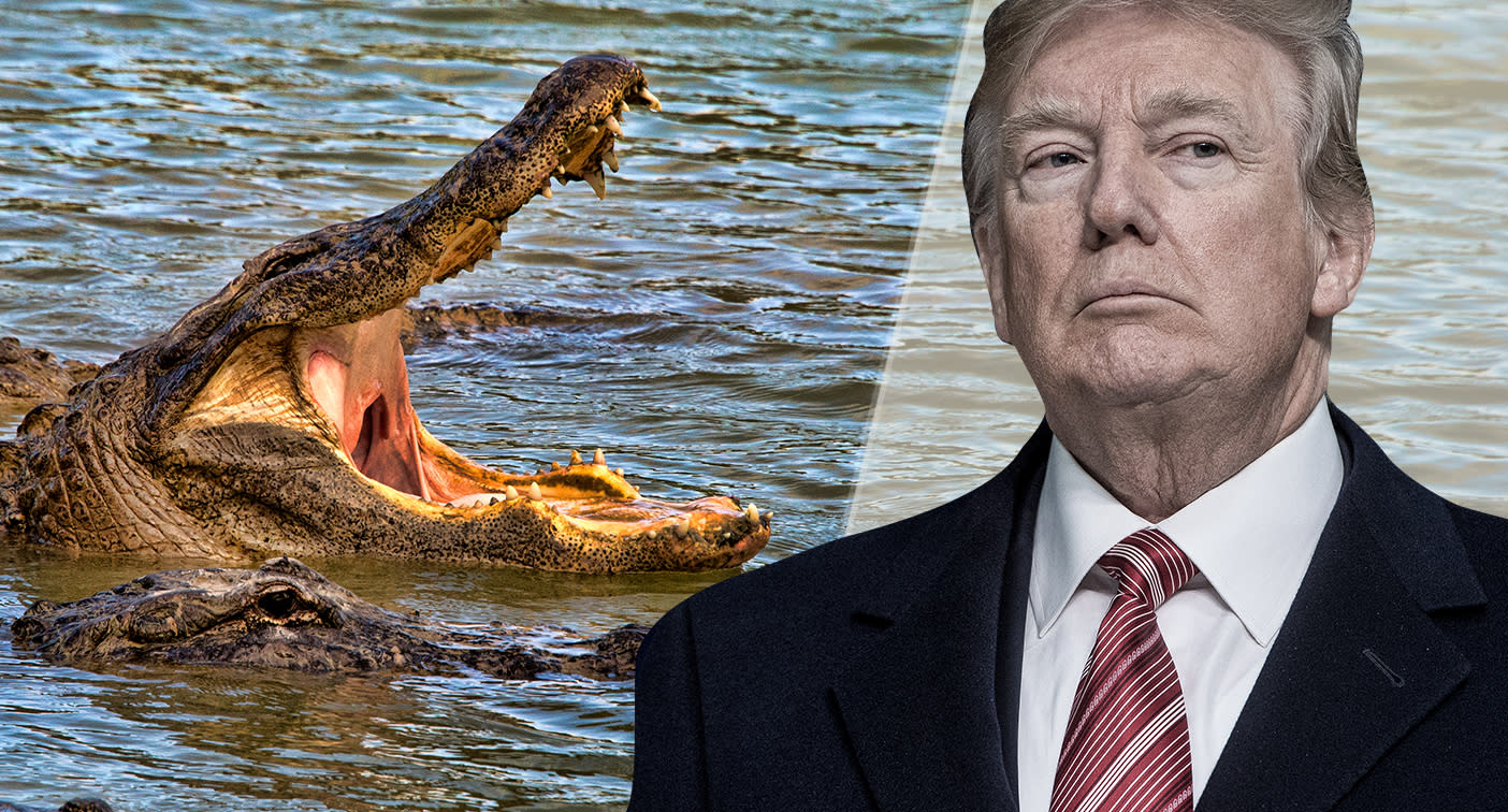 Image result for Trump alligator moat