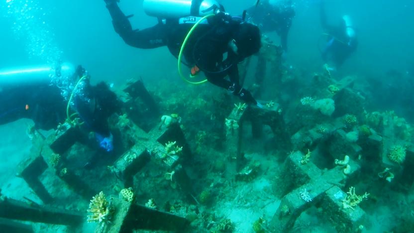 Divers install CORaiL's concrete structures and cameras.