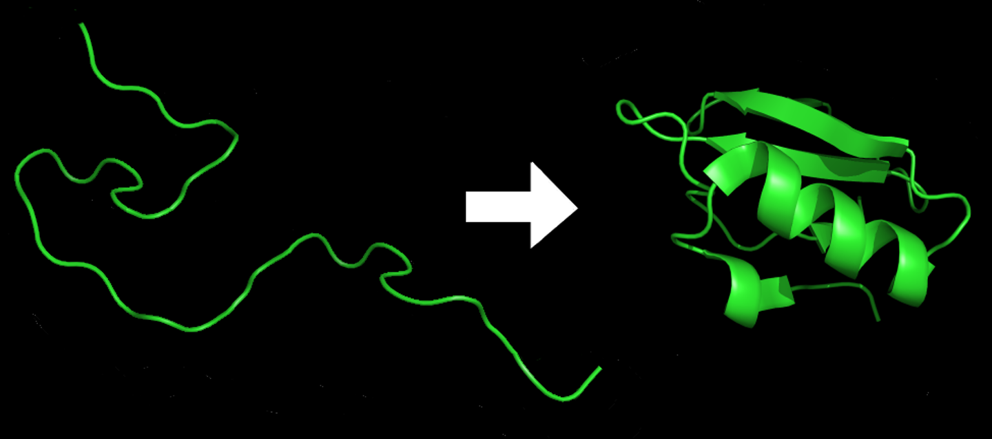 Ai Makes Huge Progress Predicting How Proteins Fold One Of Biologys 1849