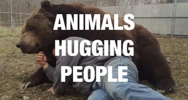 animal people hug