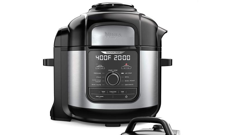 Ninja Foodi Deluxe 9-in-1 pressure cooker