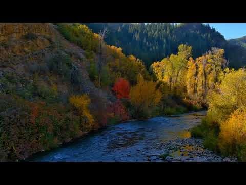 Des images de drones montrent des couleurs d’automne éclatantes dans l’Utah