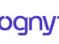 Cognyte Announces Third Quarter Fiscal 2024 Results