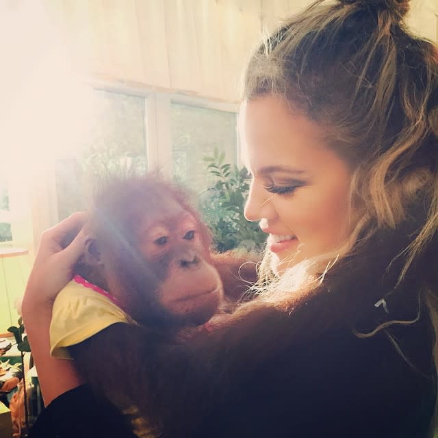 Khloe Kardashian S Tiger Cub Pic Causes Another Selfie Controversy