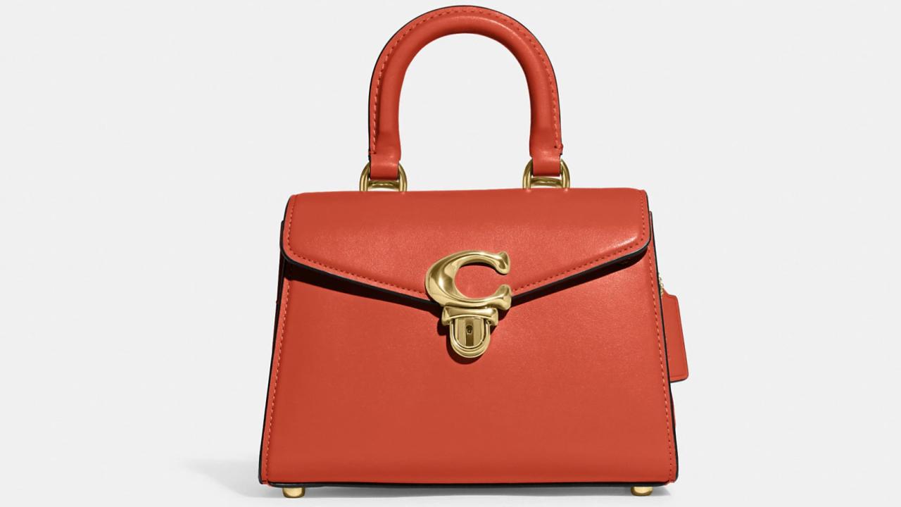 Coach is having a rare 30% off sale on these 6 leather bags