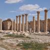 Siria, jihadisti dell&#39;Isis hanno isolato la città di Palmira