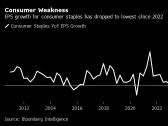 Earnings Derail Stock Rally Over Doubts on AI, Consumer Strength