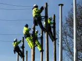 Ministers push back on new telegraph poles after broadband roll-out sparks anger