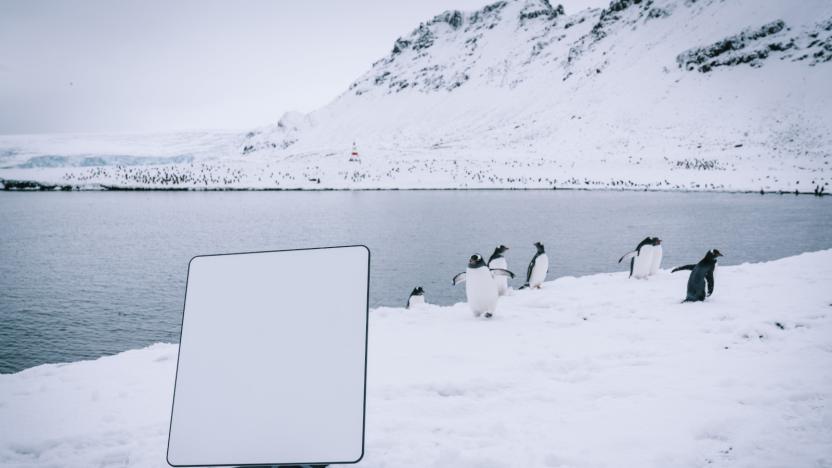 A photo of a Starlink terminal with a snowy landscape and penguins in the background. 