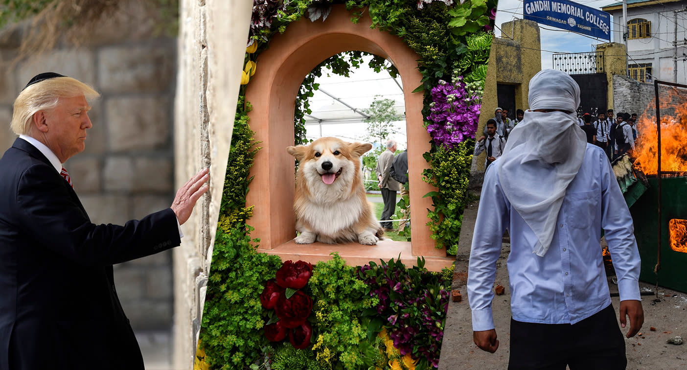 Trump, paws, protests and more — it happened today: May 22 in pictures