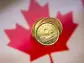 Canadian dollar hits 2-week low as investor optimism fades