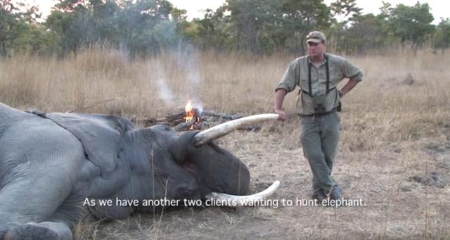 Theunis Botha poses with a kill in an image from one of his YouTube videos.