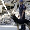 Terremoto, Enpa: Oltre 200 animali soccorsi dopo sisma