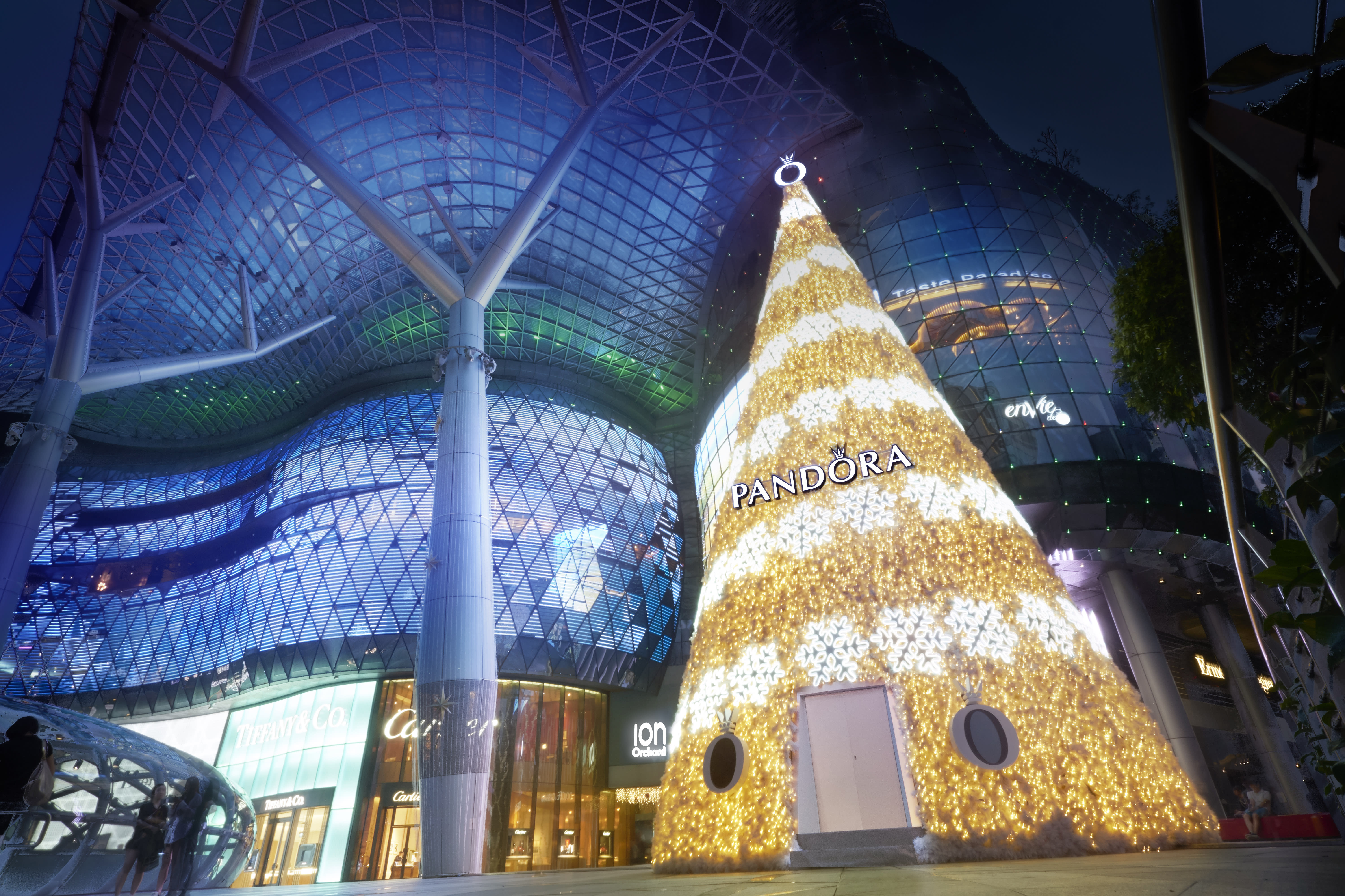 PHOTOS ION Orchard's Christmas tree lights up