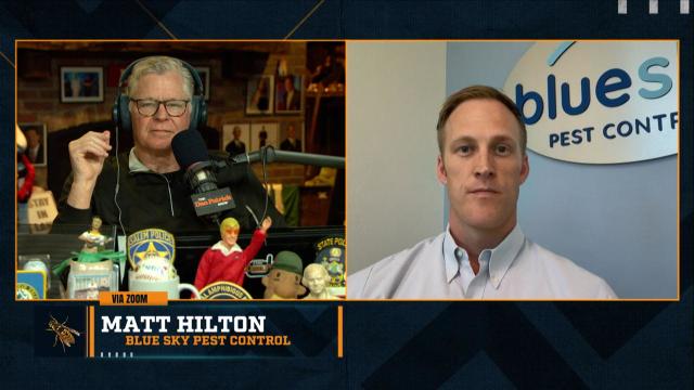 Bee specialist Matt Hilton saves MLB game