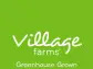 Insider Sale: CEO Michael Degiglio Sells Shares of Village Farms International Inc (VFF)