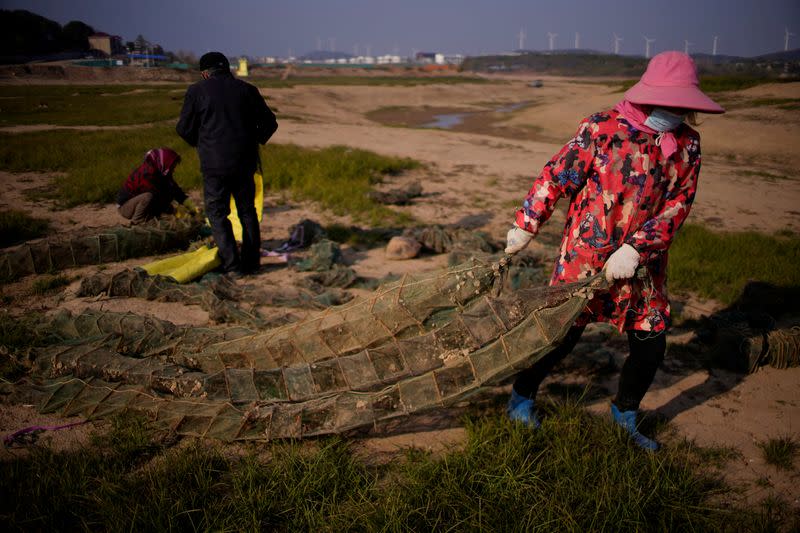 Environmental groups in China plan to dam the main lake on the Yangtze River