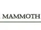 Black Mammoth Metals Closes $100,000 Private Placement