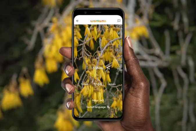 Google's AI photo app uses crowdsourcing to preserve endangered languages