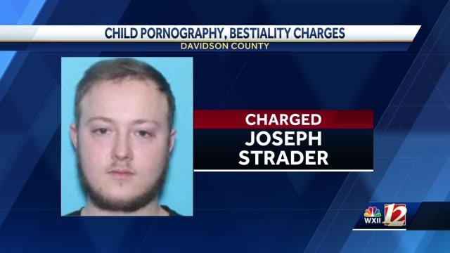 Man Animalssex - Man facing child, animal sex charges in Davidson County, sheriff's office  says