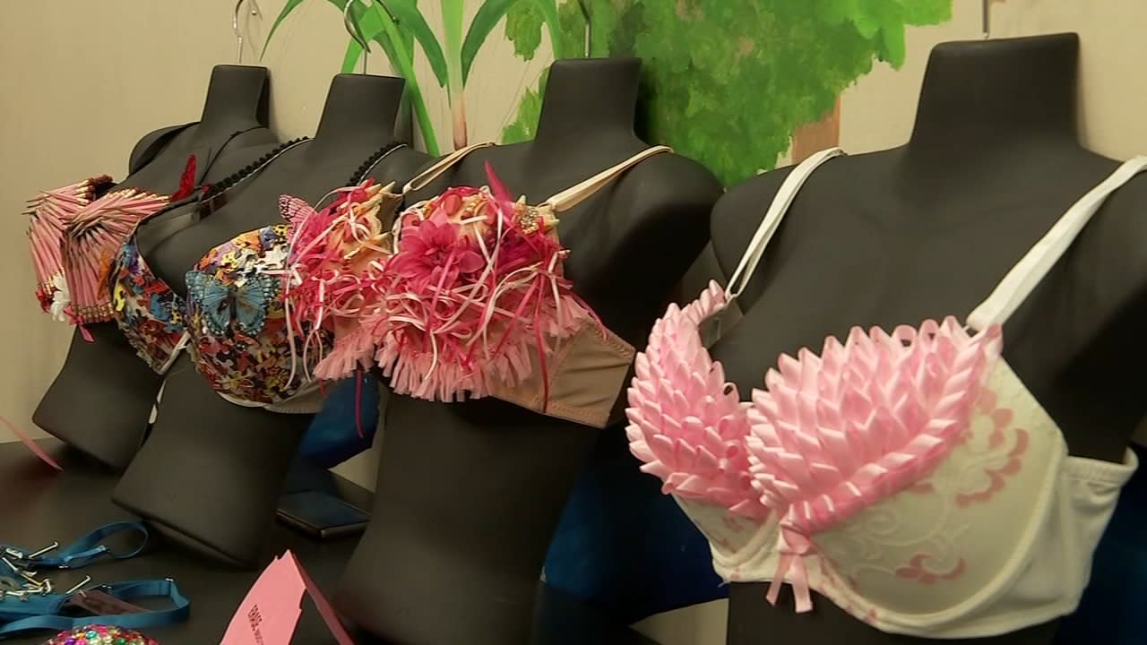 Rainbow of bras strapped along Regina bridge for breast cancer