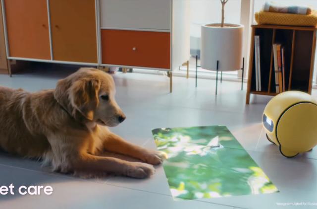 LG developed a two-legged AI-powered robot that can watch your pets for you