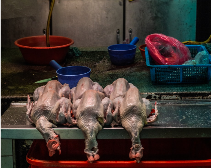 馬來西亞擬禁雞肉出口 – Yahoo奇摩新聞