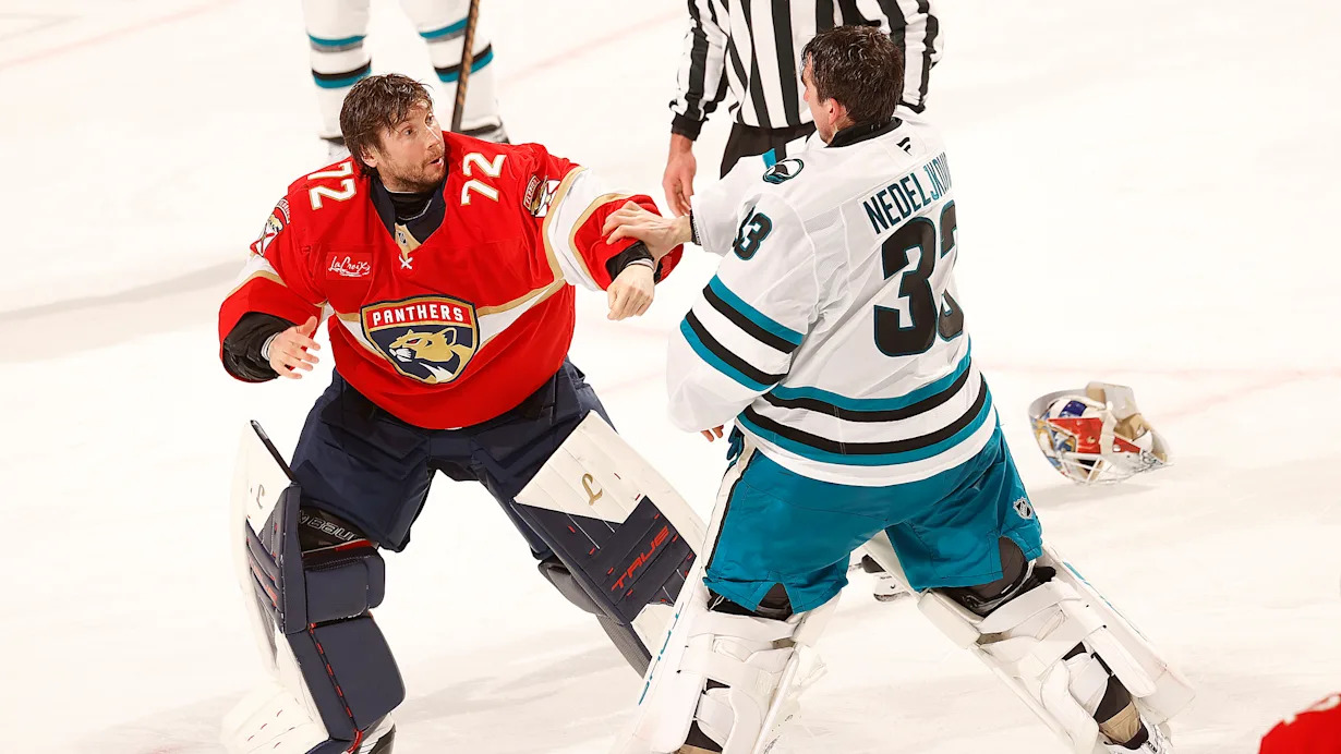 Goalies Alex NedeljkovicSergei Bobrovsky drop gloves and fight during Sharks-Panthers matchup image