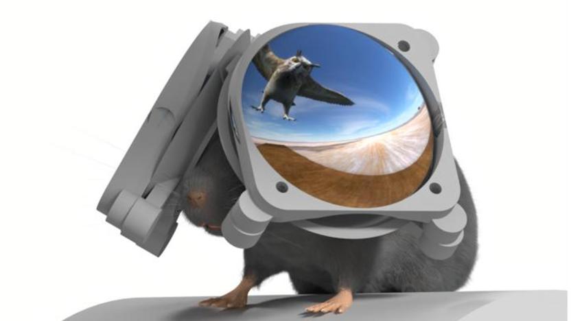 Rendering of a mouse wearing VR goggles, with a projection of an owl swooping from above